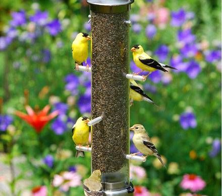 Brushed Nickel Thistle Feeder