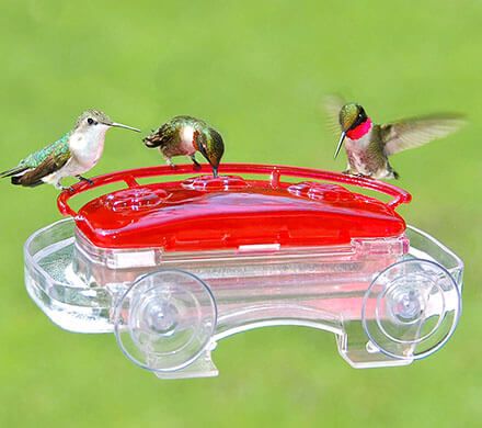 Jewel Box Window Hummingbird Feeder