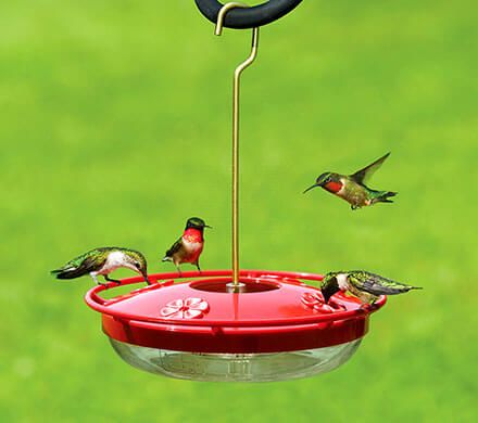 Comfort Fit Hummingbird Feeder