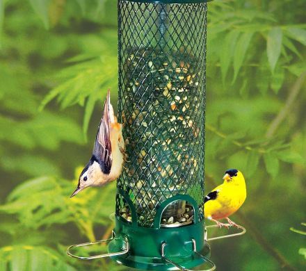 Mini Squirrel Proof Bird Feeder