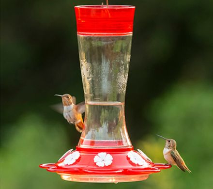 Song Bird Essentials Hummingbird Feeder Ant Moat Nectar Protecteur Rouge SE611 