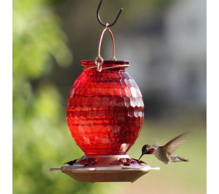 Hummingbird Feeder with Rose Gold Accents