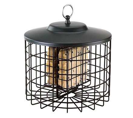 Squirrel Proof Double Suet Feeder