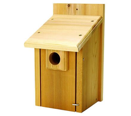 Wood Bluebird House with Guard