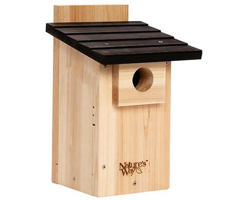 Mesh Floor Bluebird House