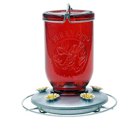 Red Mason Jar Hummingbird Feeder