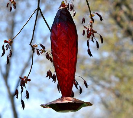 Red Crystal Glass Hummingbird Feeder