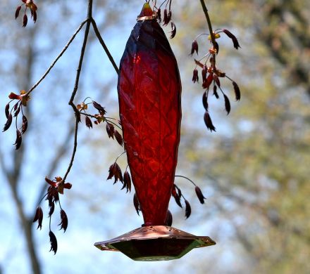 Red Crystal Glass Hummingbird Feeder