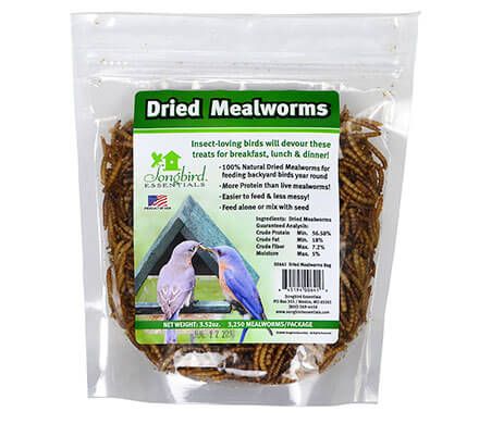 1/3 lb. of Dried Mealworms