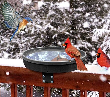 Shallow Heated Birdbath