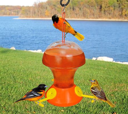 48 oz. Oriole Nectar Feeder