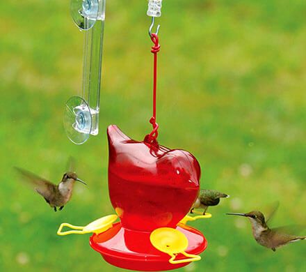 Window Hummingbird Feeder and Hanger