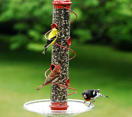 Red Spiral Bird Feeder