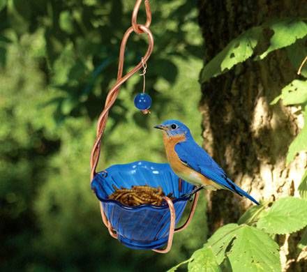 Handcrafted Bluebird Feeder