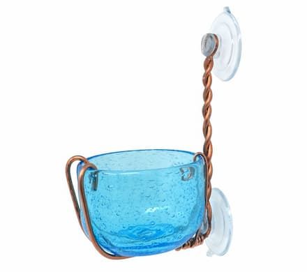 Bluebird Mealworm Window Feeder