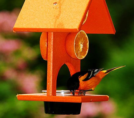 Covered Fruit and Jelly Feeder