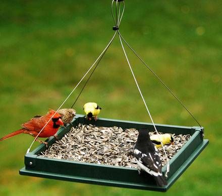 Hanging Platform Bird Feeder