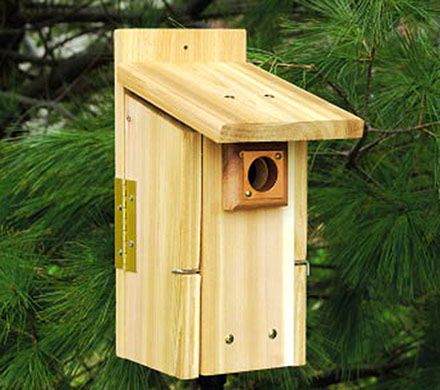 Premier Bluebird Nesting Box