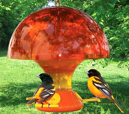 Orange Oriole Feeder Cover