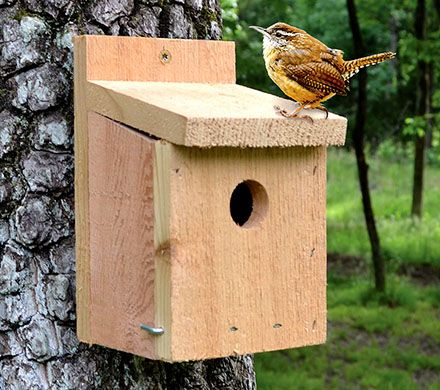 Red Cedar Wren House