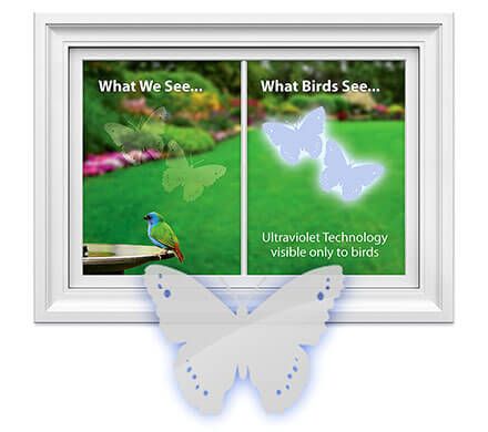 Butterfly Window Decals