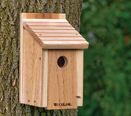 Rustic Cedar Bluebird House