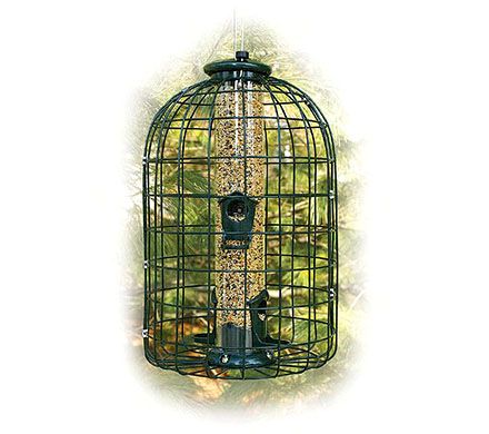 Caged Seed Tube Feeder