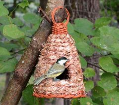 Compact Clinger Bird Feeder