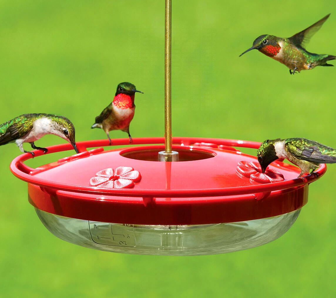 Comfort Fit Hummingbird Feeder