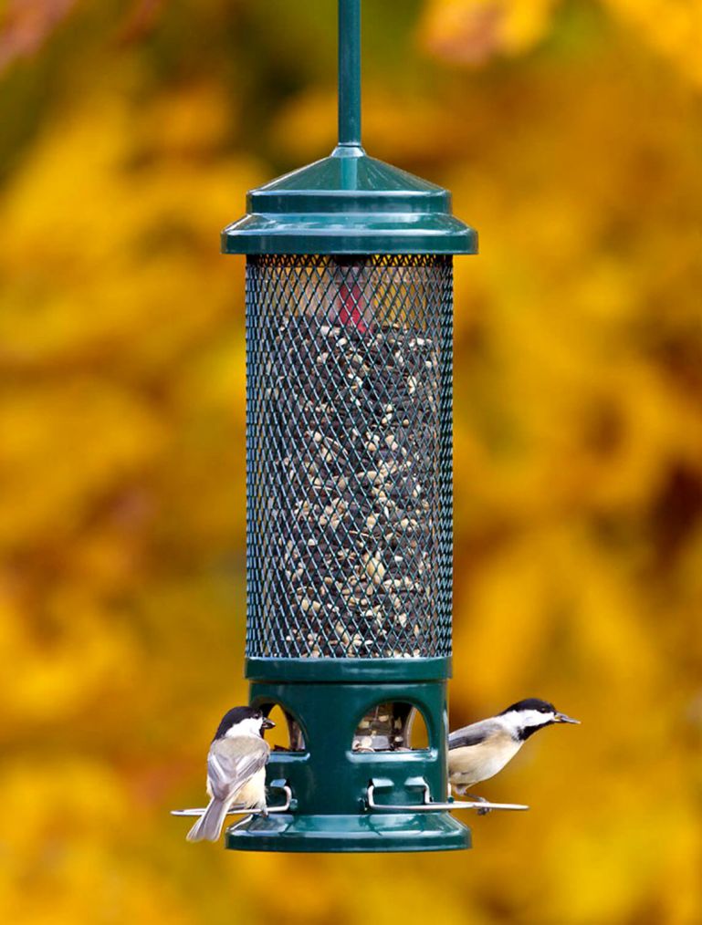 Squirrel Buster Legacy