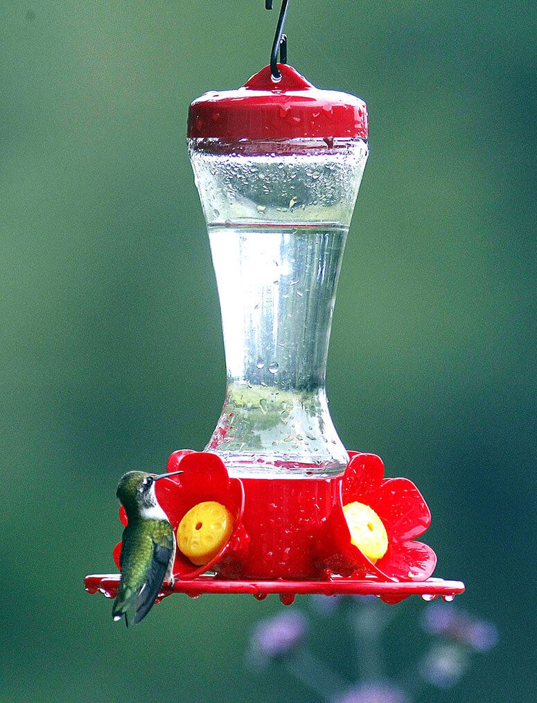Hourglass Hummingbird Feeder