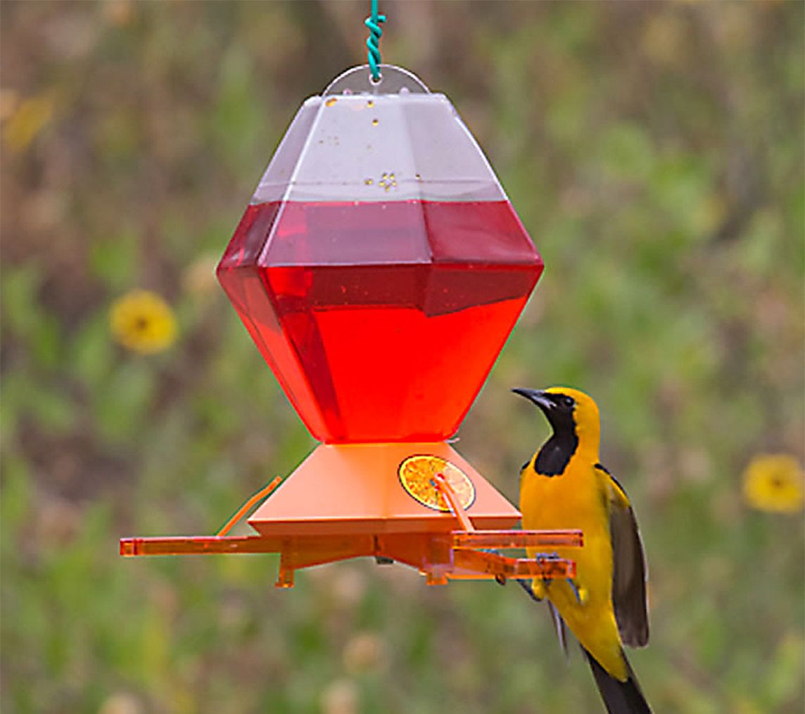 Classic Oriole Feeder