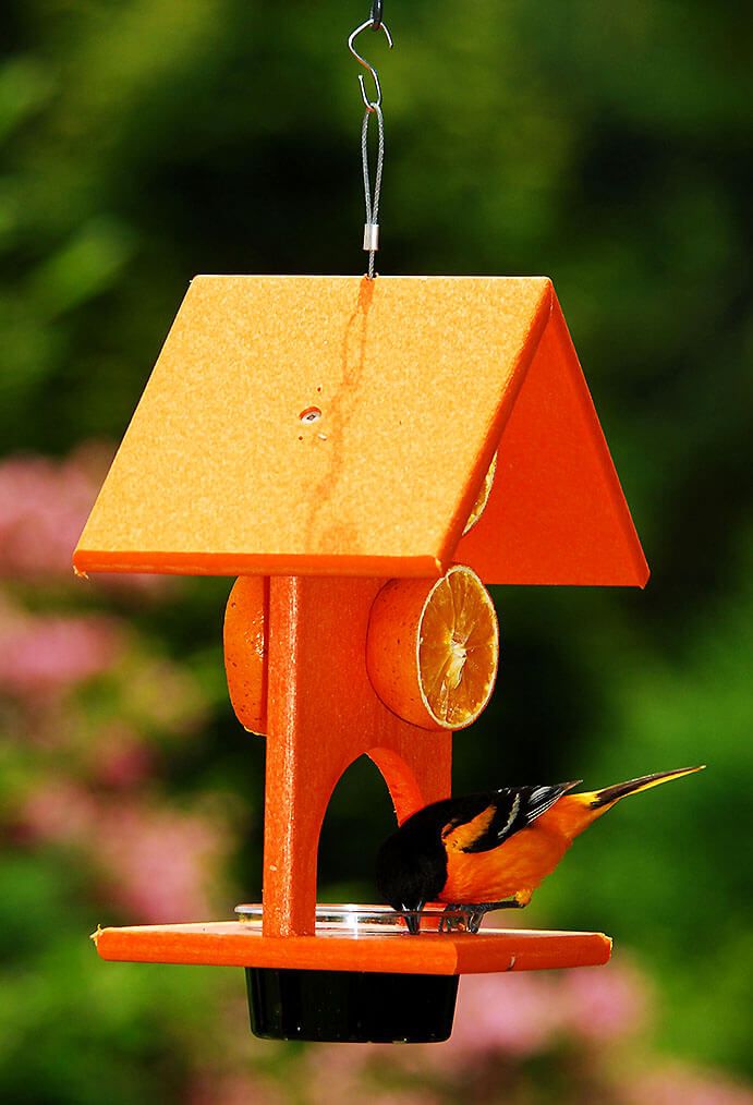 Covered Fruit and Jelly Feeder