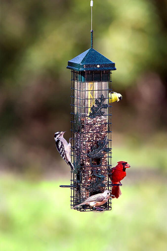 Weight Activated Squirrel Proof Bird Feeder