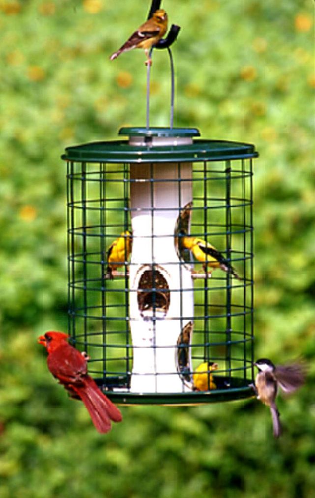 Wild Bird Attraction Seed Feeder Metal Birdfeeder Cage with Squirrel Guard New 