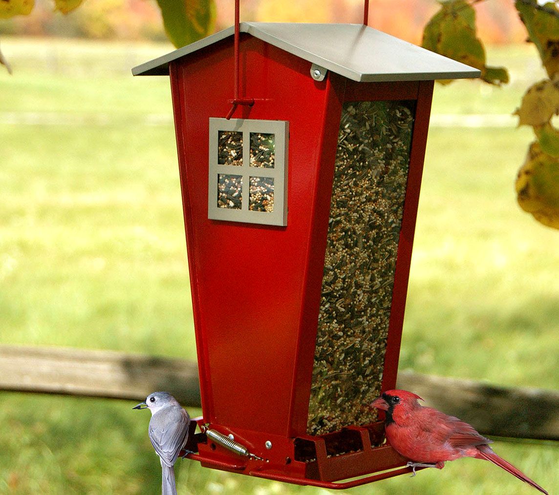 Squirrel Proof Hopper Feeder Wild About Birds