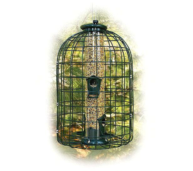 Caged Seed Tube Feeder Wild About Birds